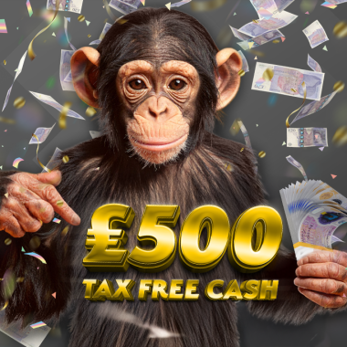 Monkey £500 prize