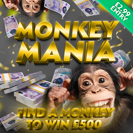 Monkey Mania 460x460