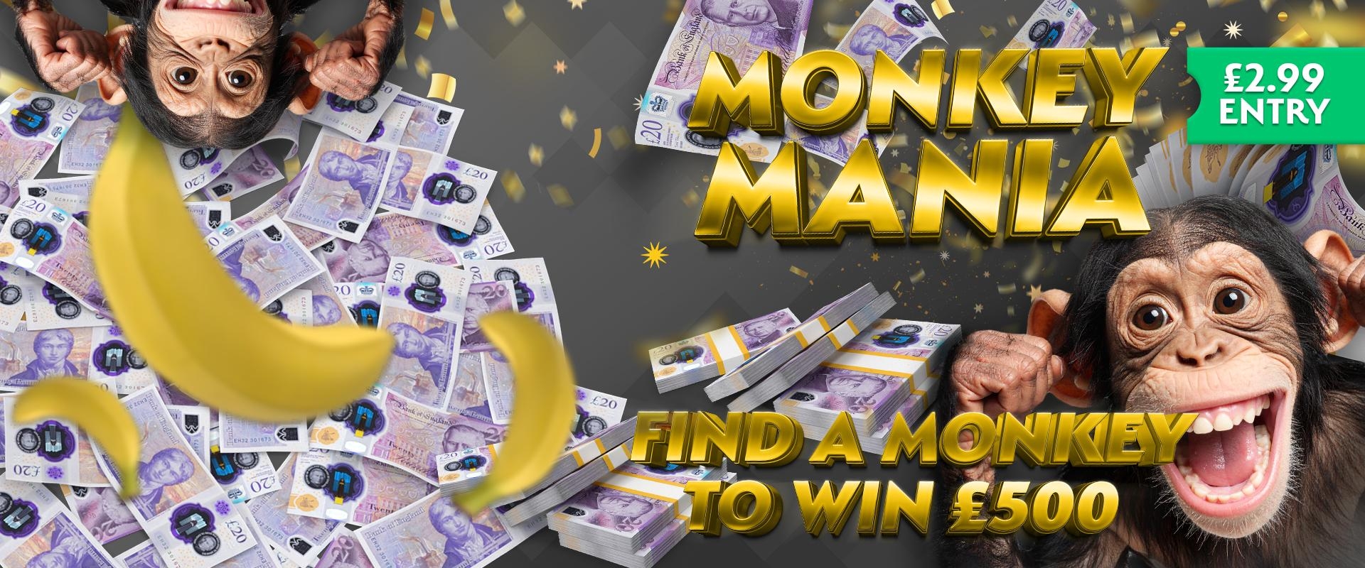 Monkey Mania Banner
