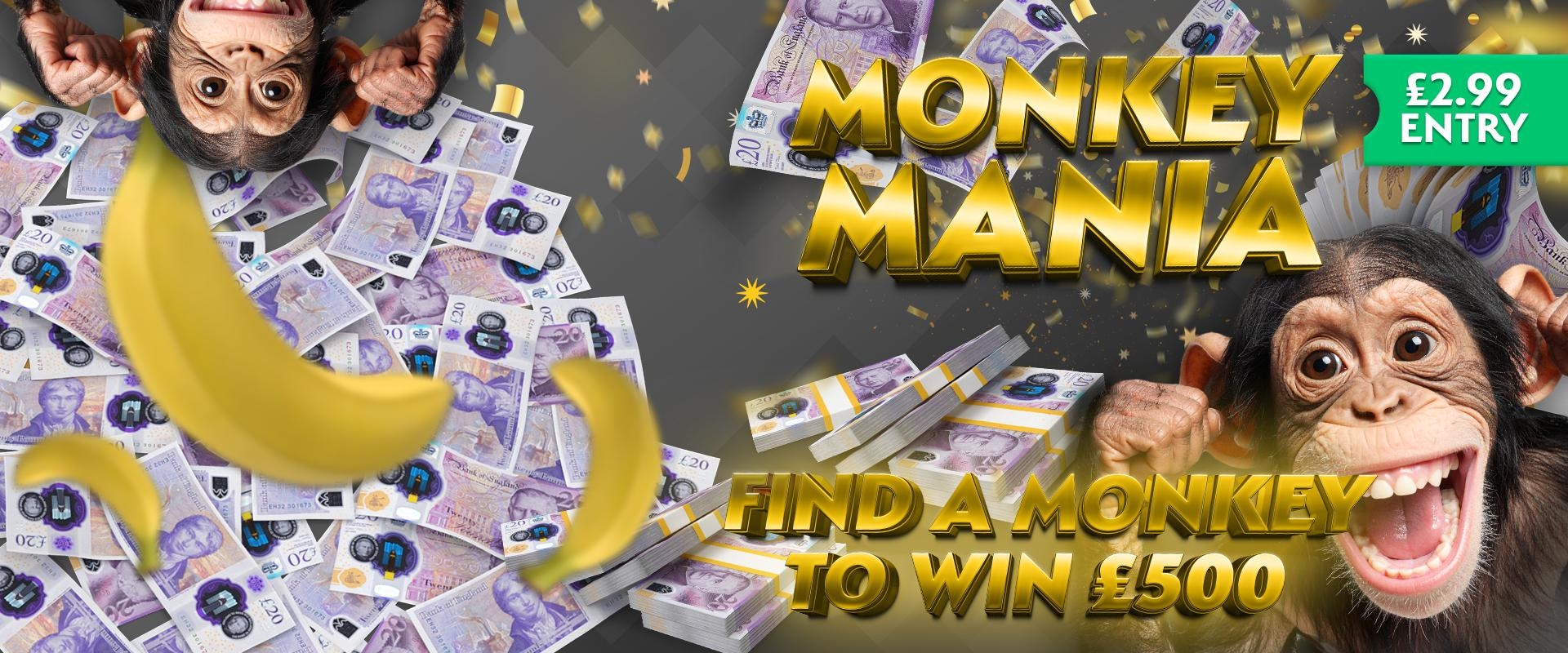 Monkey Mania Banner
